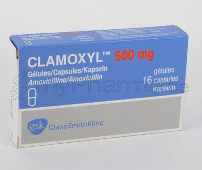 Pharmacie Meysen Sprl 3990 Peer Home Clamoxyl 500 Mg 16 Caps