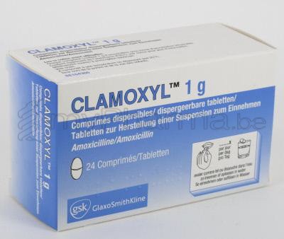 Pharmacie Meysen Sprl 3990 Peer Home Substances Actives A Amoxicilline Clamoxyl 1 G 24 Comp